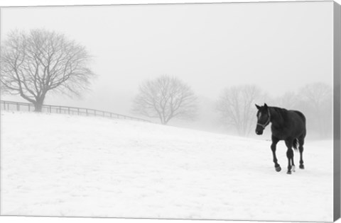 Framed Walking In Fog Print