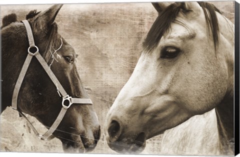 Framed Horse Pair Print