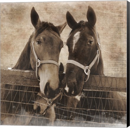 Framed Trio Vintage Print