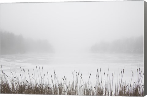 Framed Foggy Reeds Print