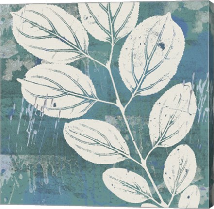 Framed Cutting on Cerulean Print