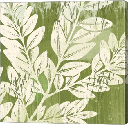 Framed Sage Foliage Print