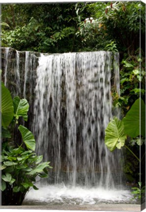 Framed Singapore, National Orchid Garden, Waterfall Print