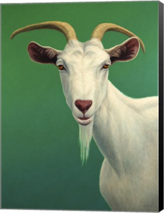 Framed Portrait of A Goat Print