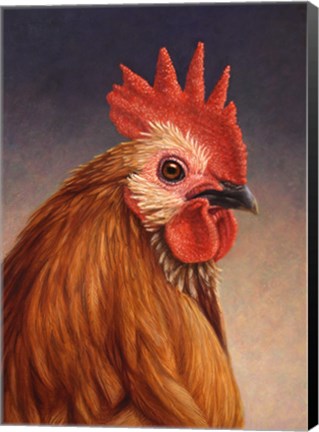 Framed Rooster Print