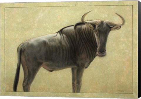 Framed Wildebeest Print