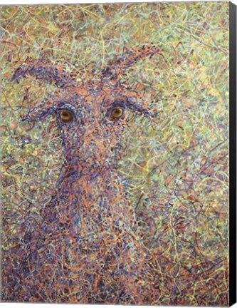 Framed Wildgoat Print