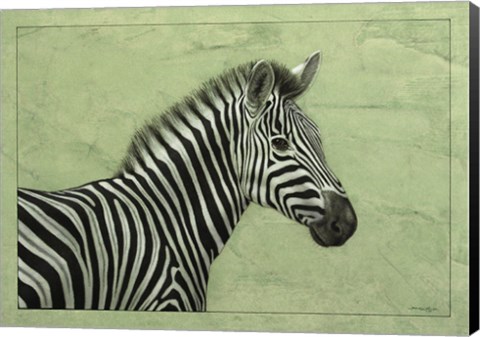 Framed Zebra Print