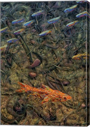 Framed Aquarium 2 Print