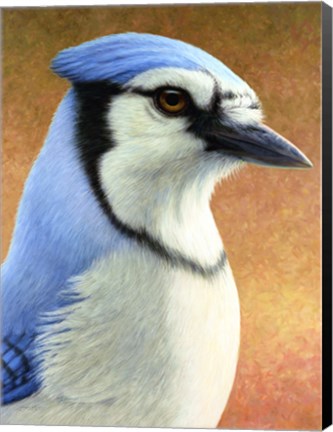 Framed Blue Jay Print