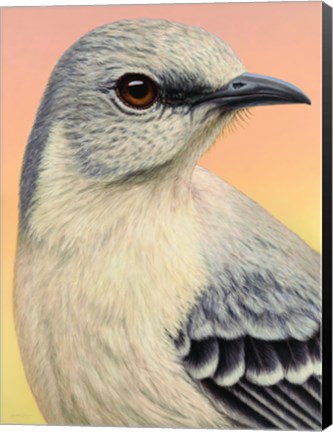 Framed Mocking Bird Print