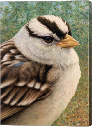 Framed Sparrow Print