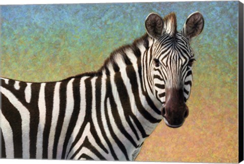 Framed Portrait Of A Zebra Print