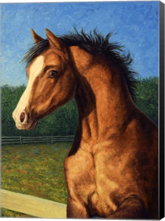 Framed Stir Crazy Print