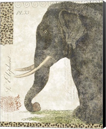 Framed L&#39;Elephant Print