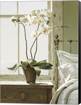 Framed Orchids In The Window Print