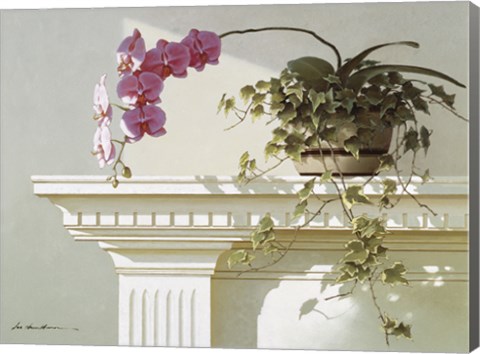 Framed Orchid On Mantle Print