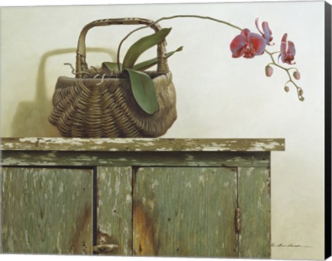 Framed Orchid Basket Print