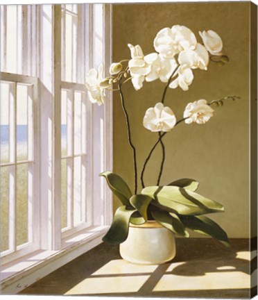 Framed Pot Of Orchids Print
