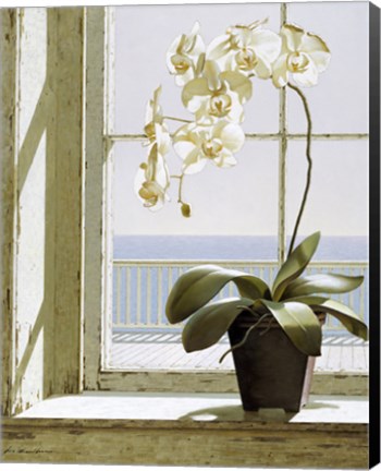Framed Flower In Window Print