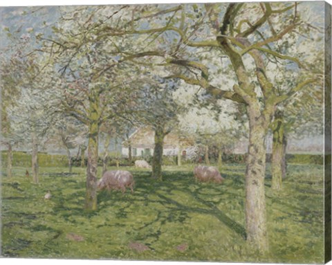 Framed Orchard in Springtime 1902 Print