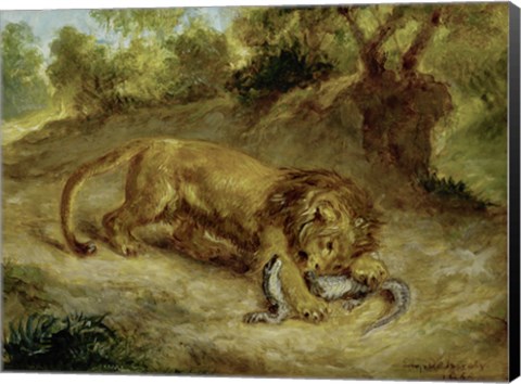 Framed Lion and Cayman, 1855 Print