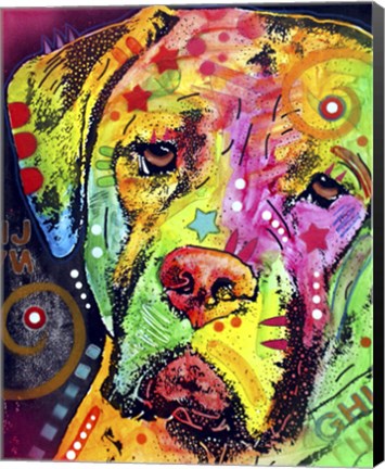 Framed Mastiff Print