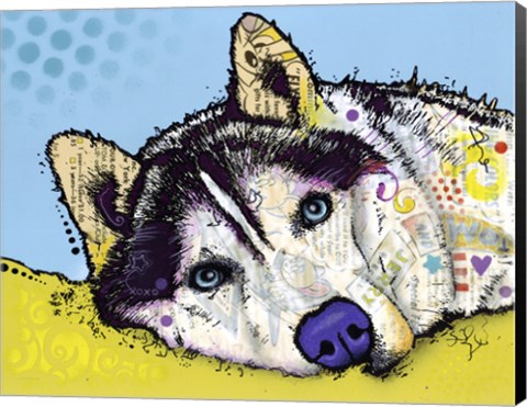 Framed Siberian Husky 2 Print