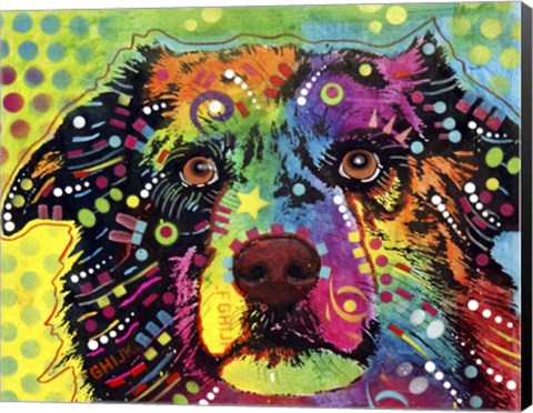 Framed Straight Aussie Print