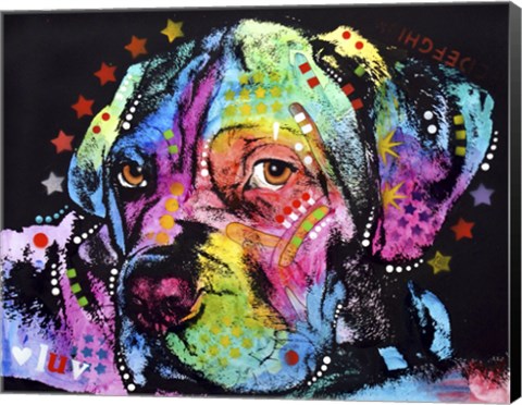 Framed Young Mastiff Print