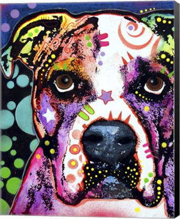 Framed American Bulldog 1 Print