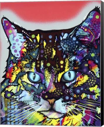 Framed Maine Coon Print