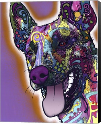 Framed Malinois Print