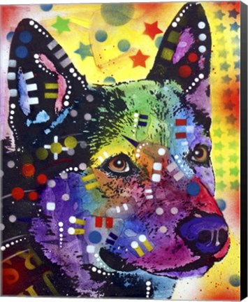 Framed Aus Cattle Dog Print