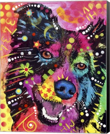 Framed Border Collie 2 Print