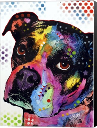 Framed Young Boxer Print