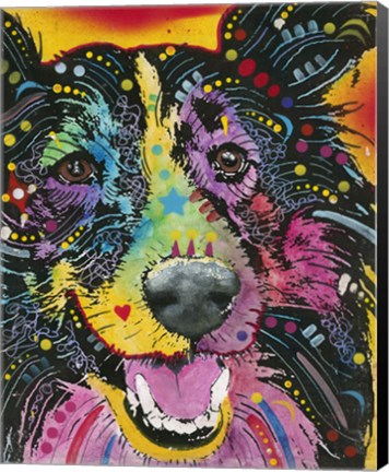Framed Smiling Collie Print