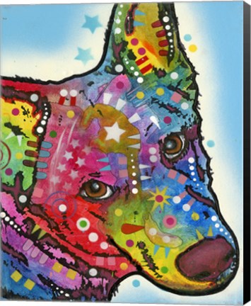 Framed Aussie Sheep Dog Print