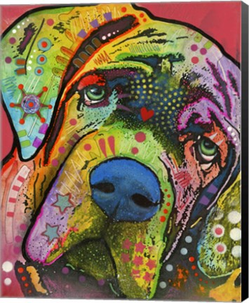Framed Mastiff Print