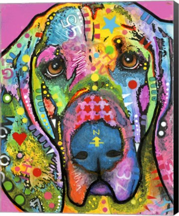 Framed Bloodhound Print