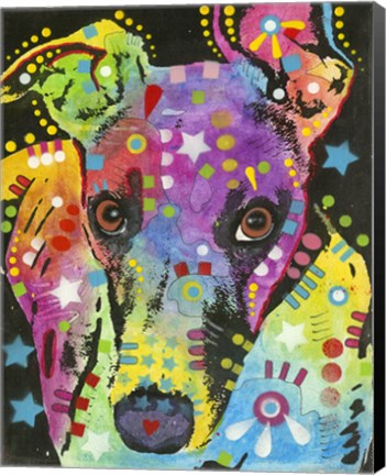 Framed Curious Greyhound Print
