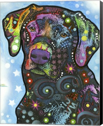 Framed Dog on Blue Print