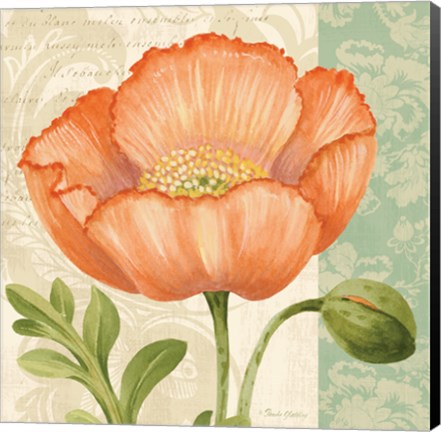 Framed Pastel Poppies II Print