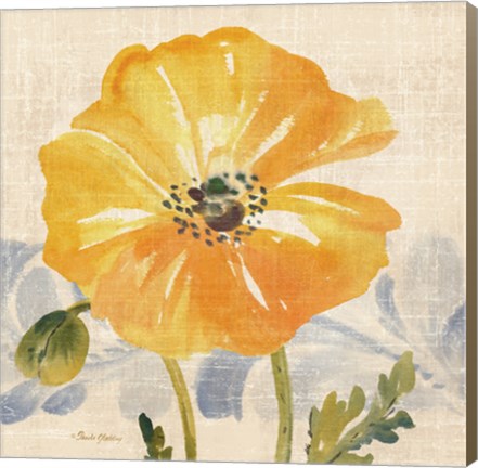 Framed Watercolor Poppies VI Print