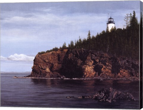 Framed Owl's Head Light Print