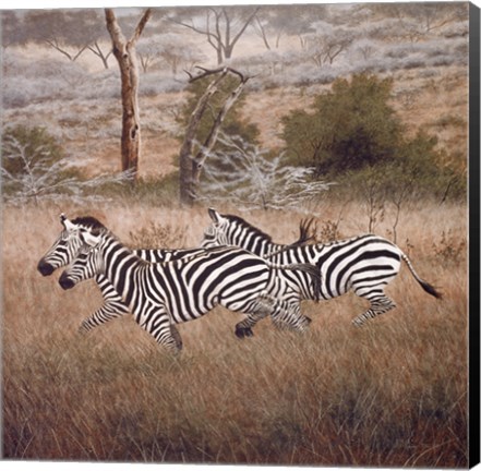 Framed Zebra Print