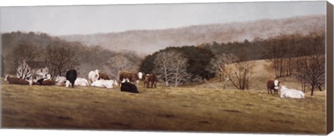 Framed Contented 2 Print