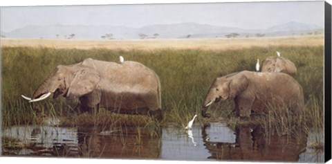 Framed Gentle Giants Print