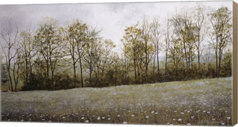 Framed Early Spring Print