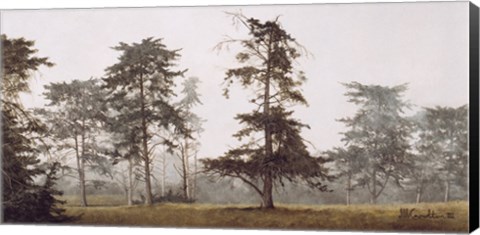 Framed Misty Grove Print